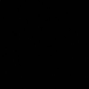 Meet your Posher, Pearl